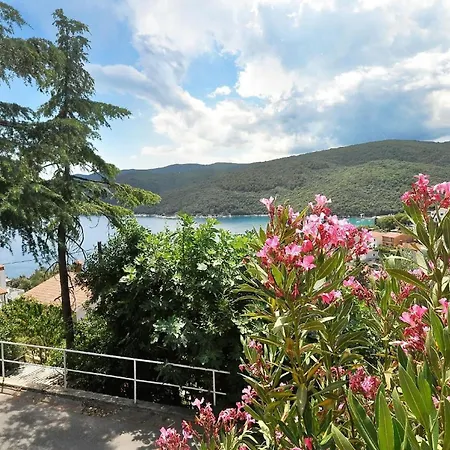 Appartamento Huebsche Mit Teilweisem Meerblick, Fuer 4 Personen Rabac